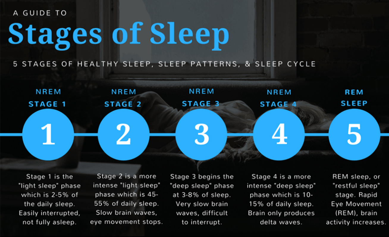 Sleep Stages